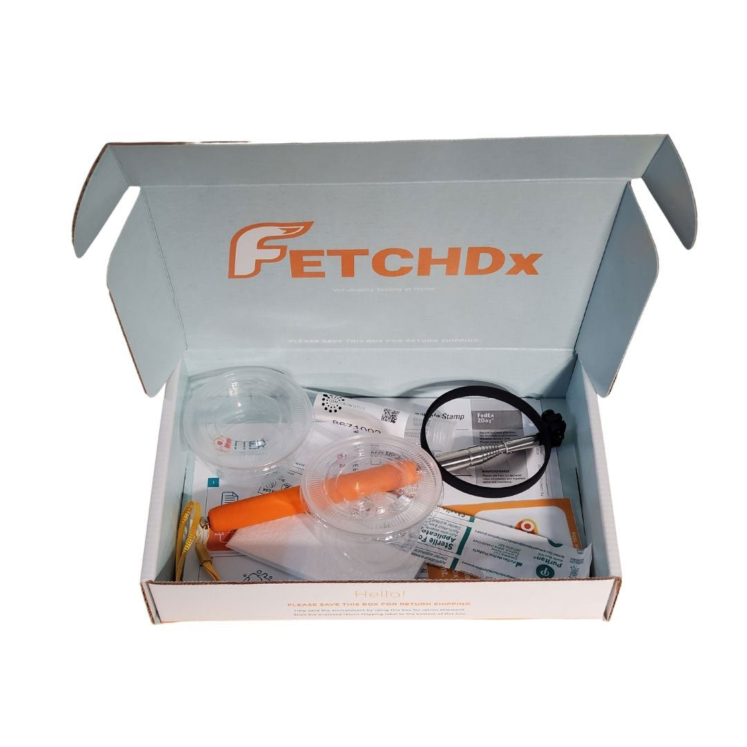 At-Home Dog Urine Kit to Test for Urinary Tract Infection (UTI)