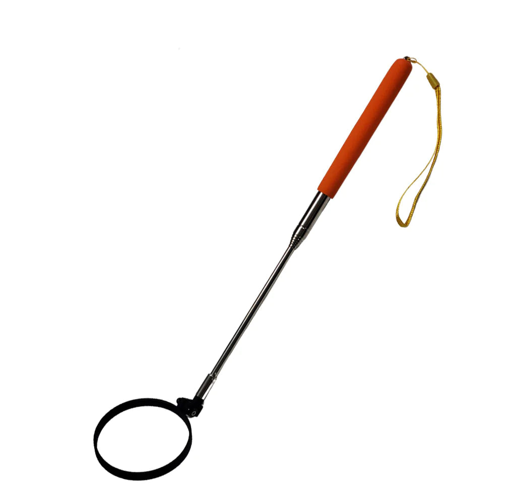 Wee Wand for obtaining a urine sample from a large dog