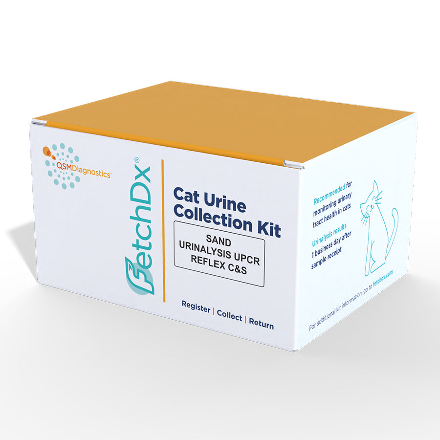 At-Home Cat Urine Kit to Test for Urinary Tract Infections (UTI
