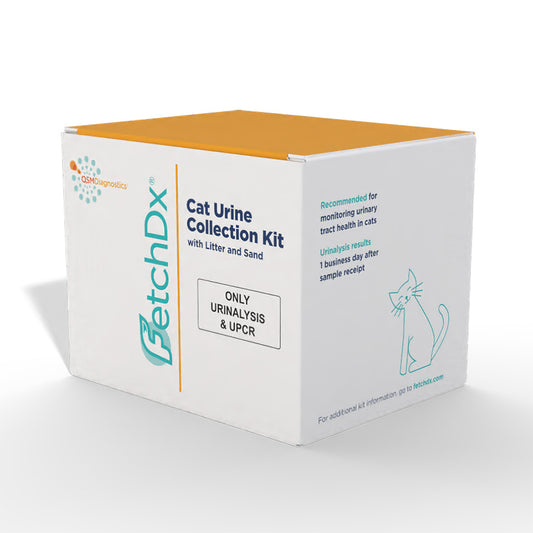 At-Home Cat Urine Infection Screening Test