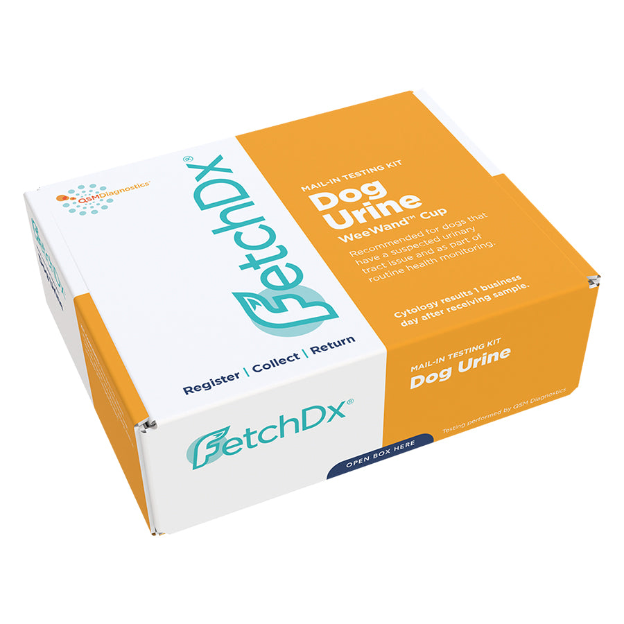 At-Home Dog Urine Kit to Test for Urinary Tract Infection (UTI)