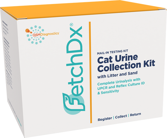 At-Home Cat Urine Kit for Urinary Tract Infections (UTI) with Culture and Sensitivity (C&S)