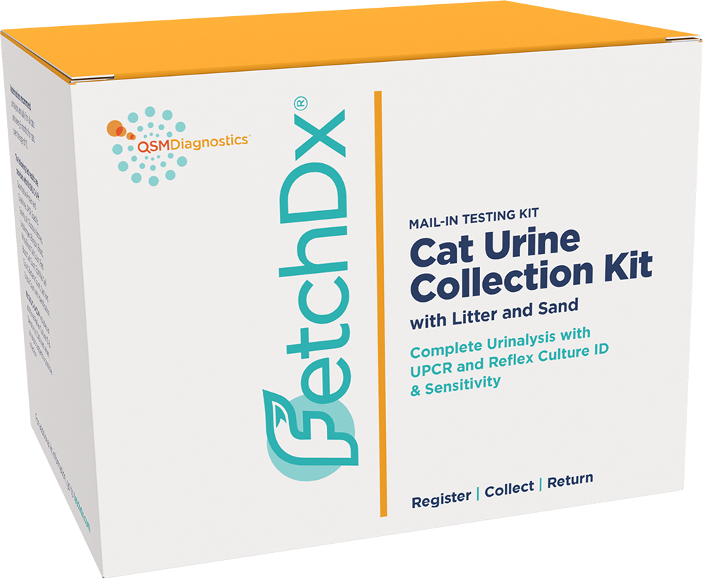 Cat Urinalysis with Reflex Culture & Sensitivity Kit