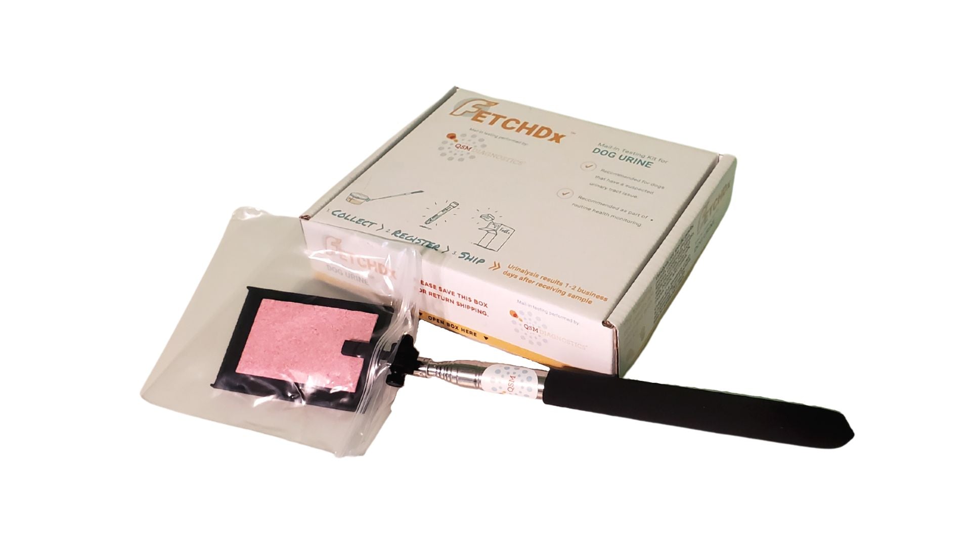 At-Home Dog Urine Wellness Screen