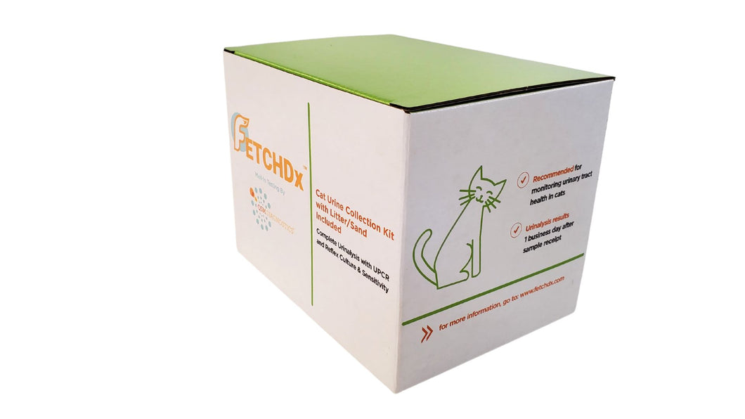 Cat Urine Wellness Kit